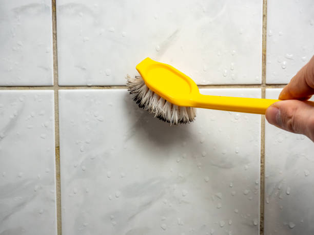Best Best Mold Removal Companies  in Bridgeport, NE