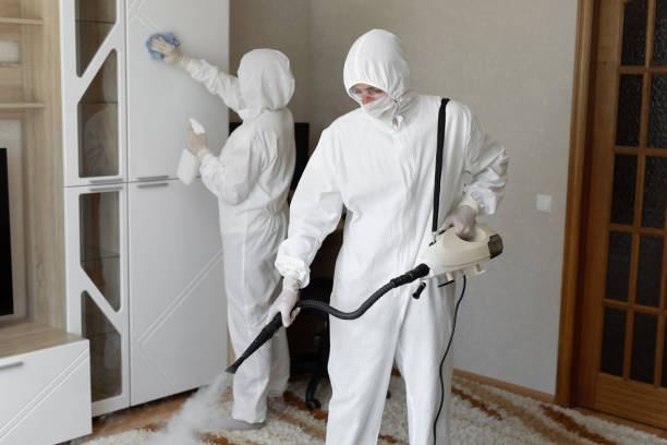 Best Black Mold Removal  in Bridgeport, NE
