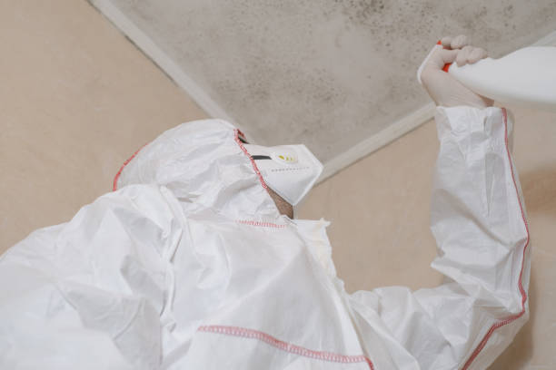 Best Toxic Mold Removal  in Bridgeport, NE