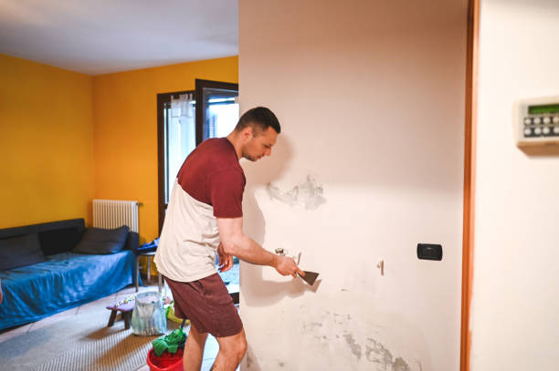 Best Mold Removal Near Me  in Bridgeport, NE